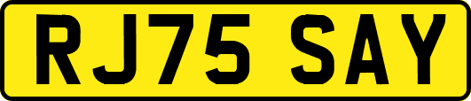 RJ75SAY