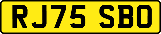 RJ75SBO