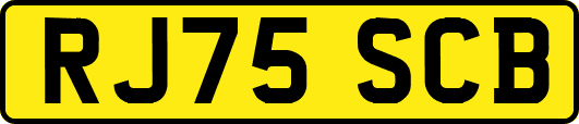 RJ75SCB