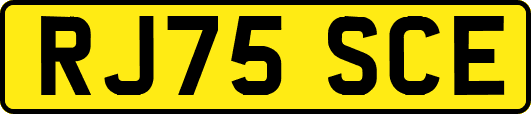 RJ75SCE