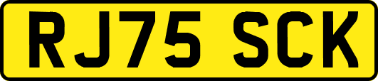 RJ75SCK