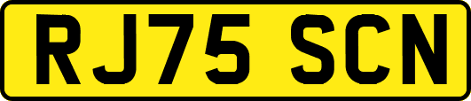 RJ75SCN
