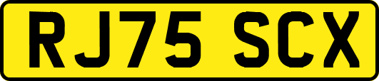 RJ75SCX