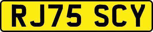RJ75SCY