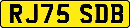 RJ75SDB