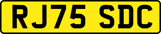 RJ75SDC