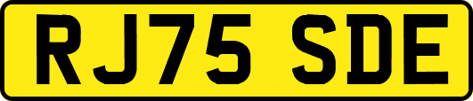 RJ75SDE