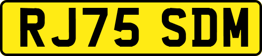 RJ75SDM