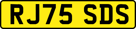 RJ75SDS