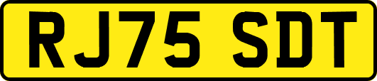 RJ75SDT