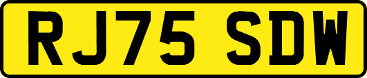 RJ75SDW