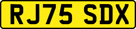 RJ75SDX