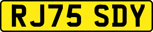 RJ75SDY