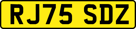 RJ75SDZ