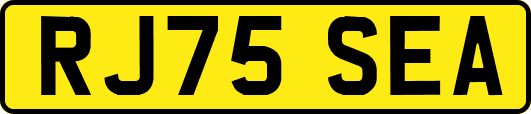 RJ75SEA
