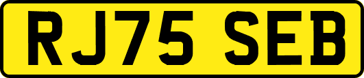 RJ75SEB