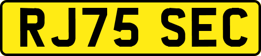 RJ75SEC