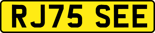 RJ75SEE