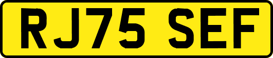 RJ75SEF