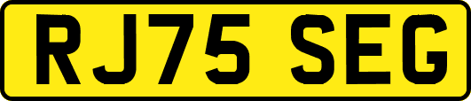 RJ75SEG