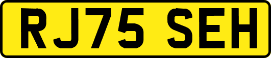 RJ75SEH