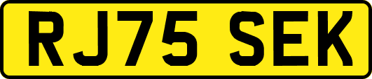RJ75SEK