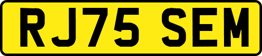 RJ75SEM