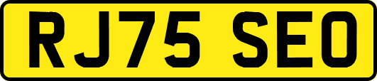 RJ75SEO
