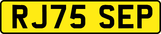 RJ75SEP