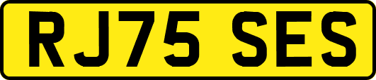 RJ75SES