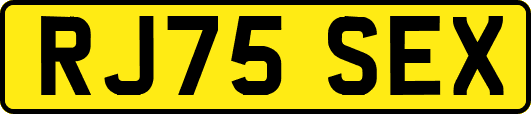 RJ75SEX