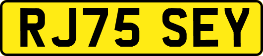 RJ75SEY