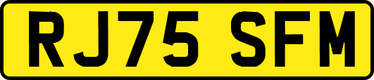 RJ75SFM