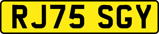RJ75SGY