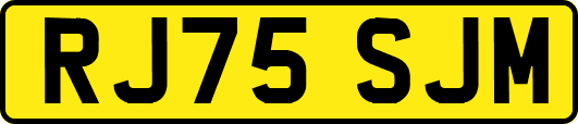 RJ75SJM