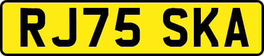 RJ75SKA