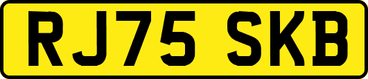 RJ75SKB
