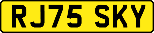 RJ75SKY
