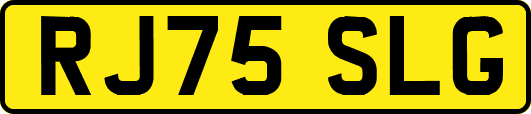 RJ75SLG