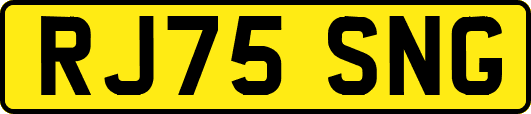 RJ75SNG