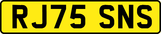 RJ75SNS