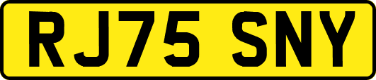 RJ75SNY