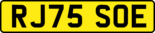 RJ75SOE