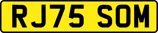 RJ75SOM