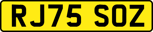 RJ75SOZ