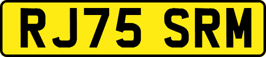 RJ75SRM