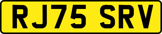 RJ75SRV