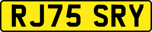 RJ75SRY