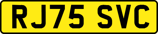 RJ75SVC