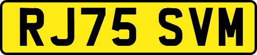 RJ75SVM